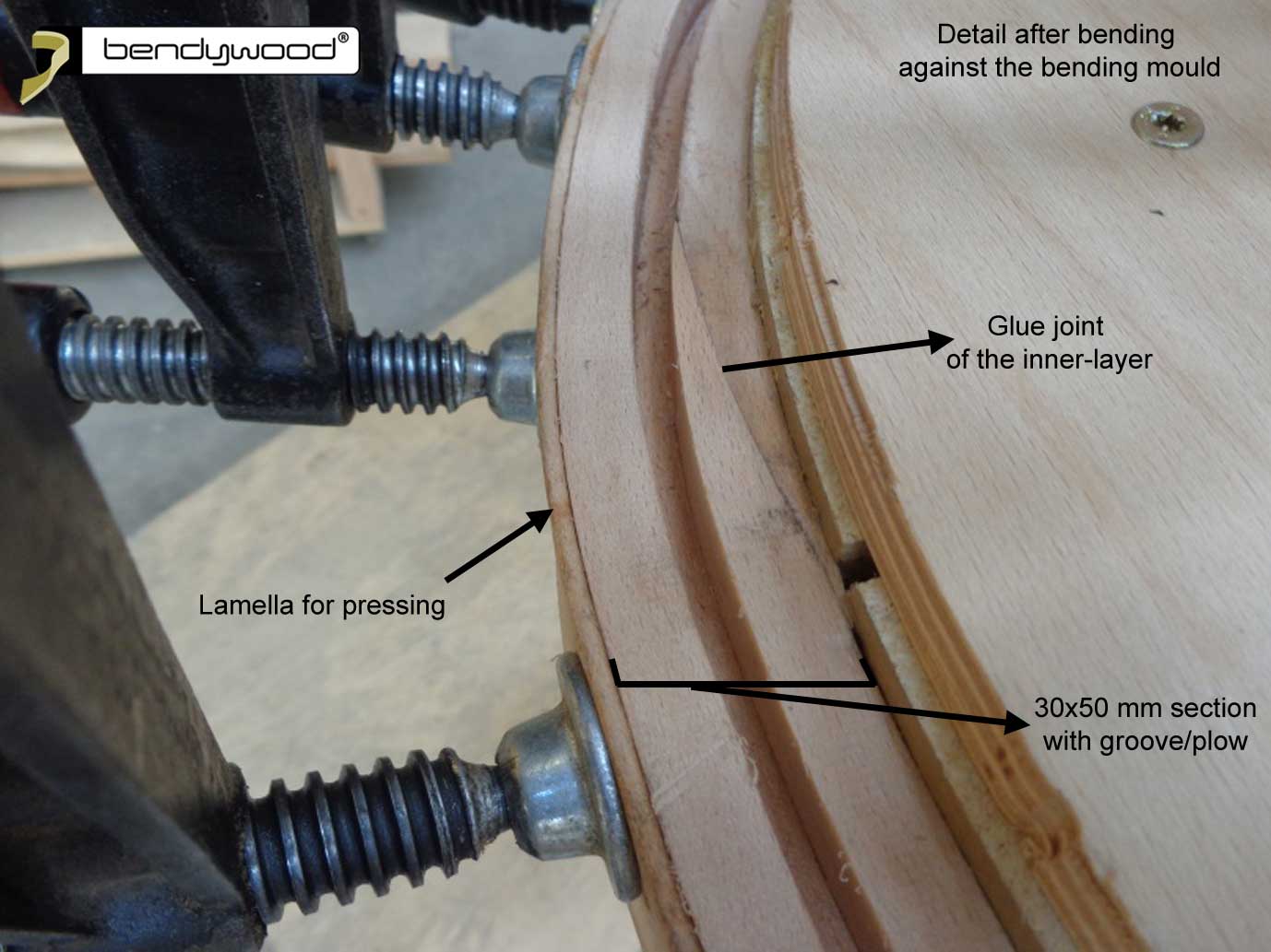 Detail after bending against the bending mould - wooden ring for pendant light